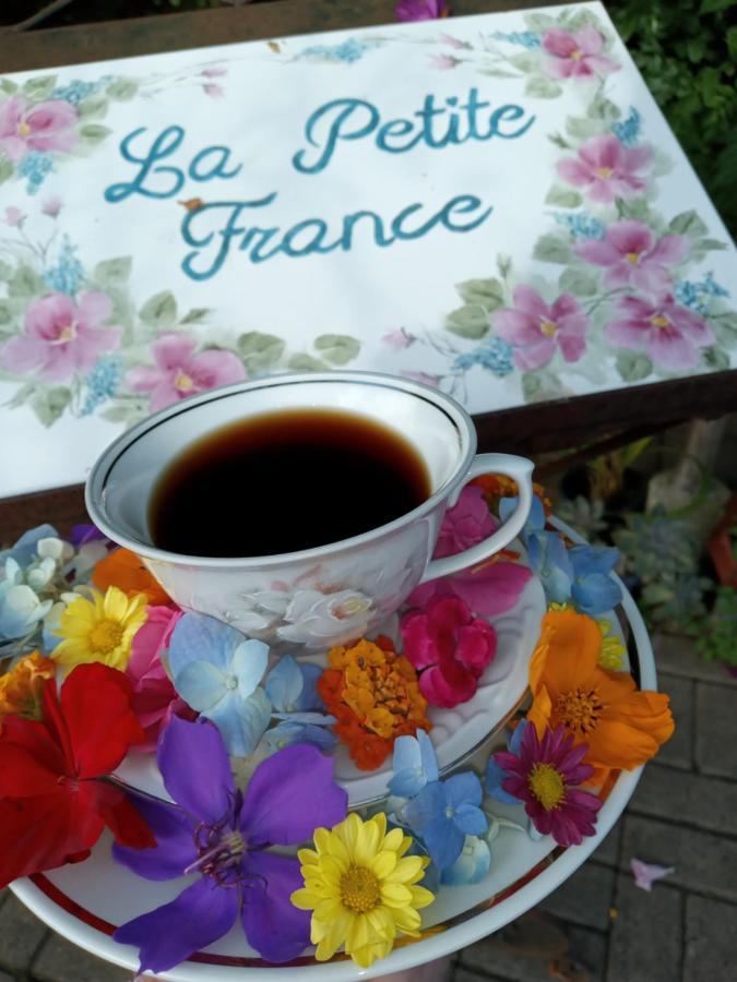 La Petite France Hotel Nova Petropolis Ngoại thất bức ảnh