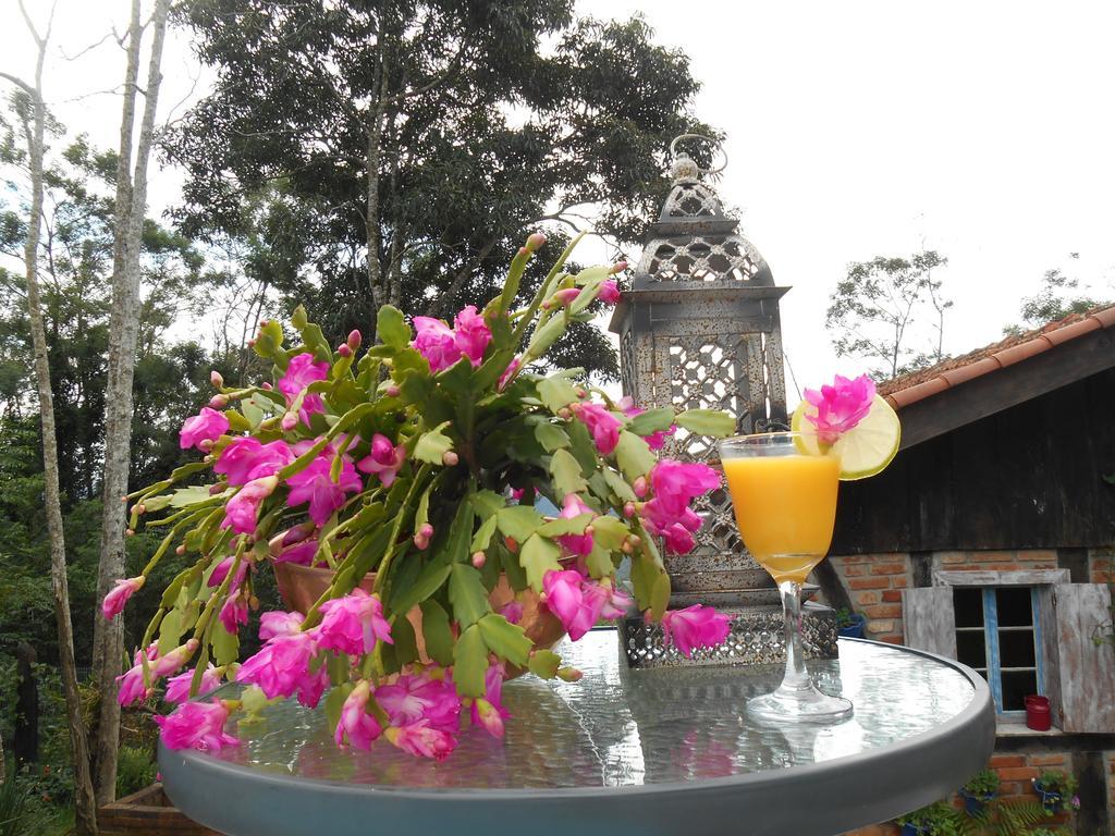 La Petite France Hotel Nova Petropolis Ngoại thất bức ảnh